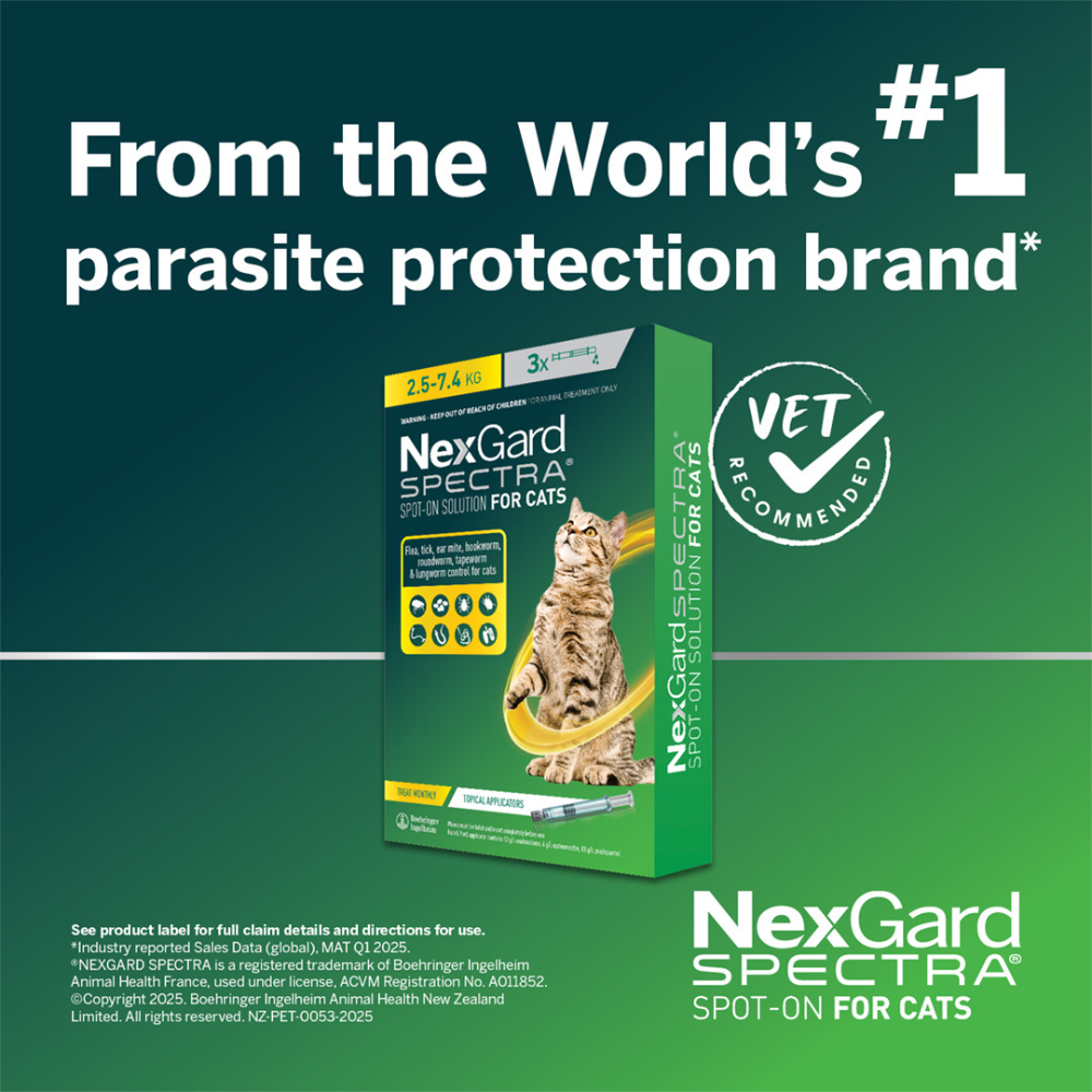 Nexguard Small NexGard SPECTRA for Small Cats