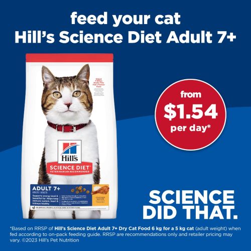 Hill's science diet discount oral care cat