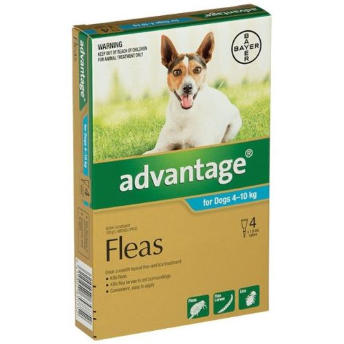 Discount flea and discount tick meds for dogs