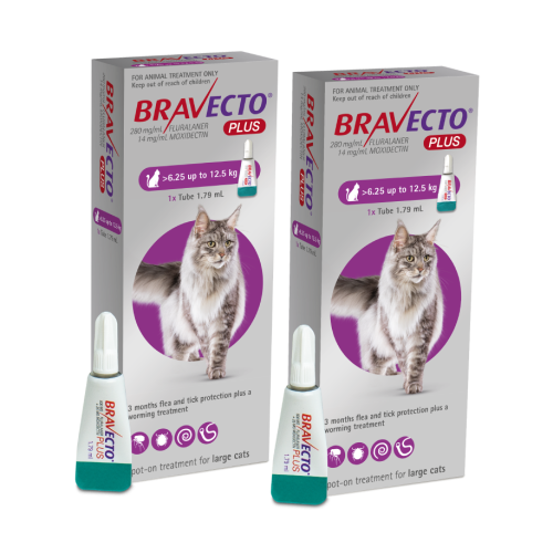 bravecto plus flea tick and worm treatment for large cats My Vet New Zealand s Largest Online Pet Pharmacy