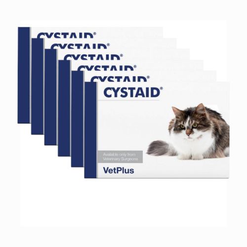 Cystaid plus 2024 capsules for cats