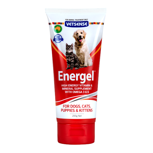 Nutrigel 2024 for puppies