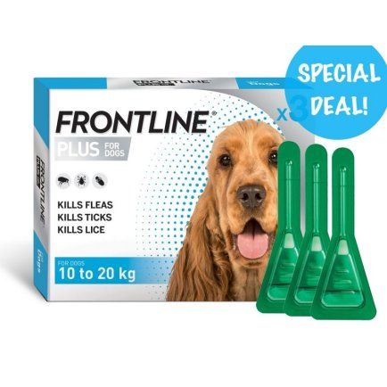 Frontline medicine 2025 for dogs