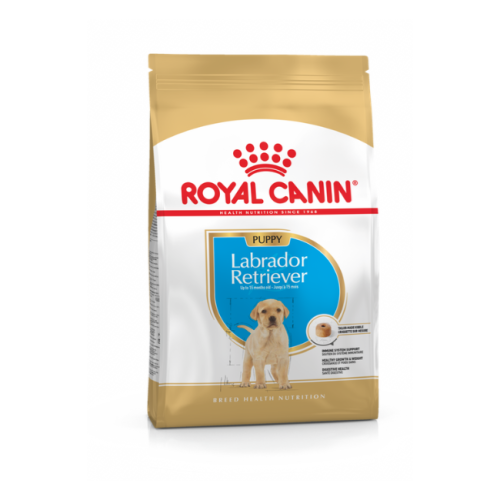 Labrador 2 month puppy diet best sale