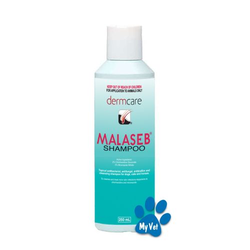 Malaseb shampoo 250ml My Vet New Zealand s Largest Online Pet Pharmacy