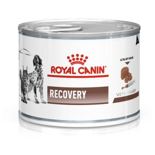 Royal Canin Recovery Cat/Dog Can 195g x 12 My Vet - New Zealand's Largest  Online Pet Pharmacy