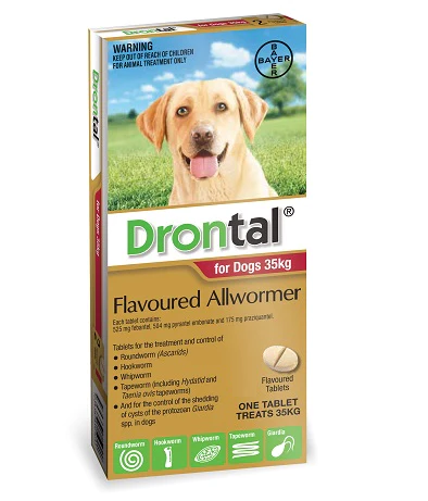 Drontal for LARGE DOGS Sold Per Tablet My Vet - New Zealand's