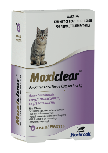 Cat lungworm clearance medication