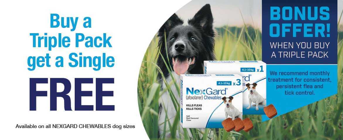 Home Page My Vet - New Zealand's Largest Online Pet Pharmacy